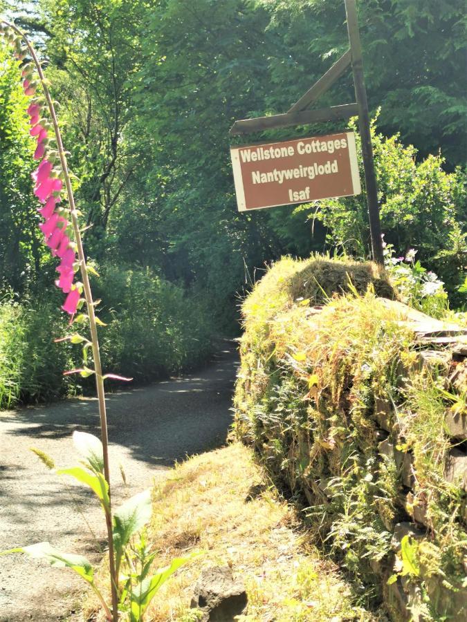 Wellstone Cottages - Coach House Llanfyrnach Exteriér fotografie